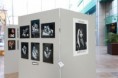 /album/face-to-face/phoca-thumb-l-lolla-051-jpg/